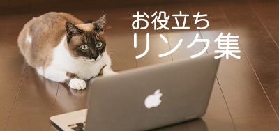 ネットサーフィンする猫イメージ